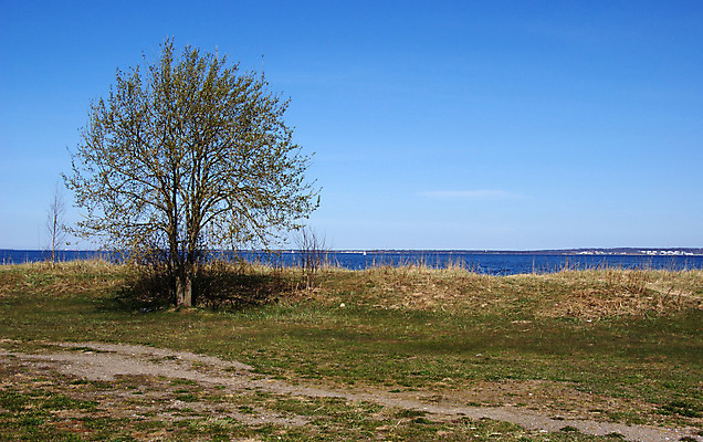포토 JPG 해외이미지 나무 자연 하늘 풍경 사람없음 야외 초록색 물 파란색 맑음 봄 땅 내추럴 수평선 해외202004 해외포토 자연요소 식물 계절 컬러 날씨 생태계 파일형식 이미지허브