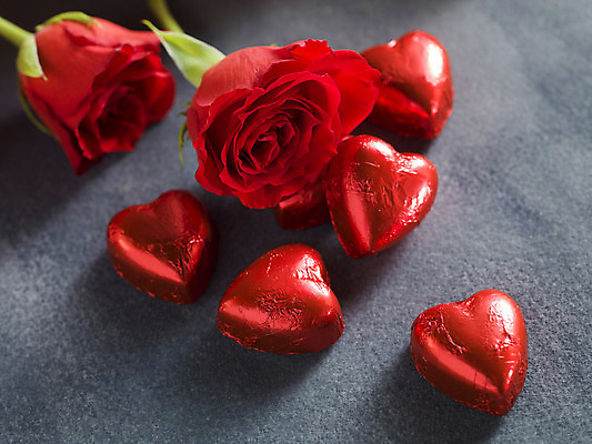 포토 JPG 해외이미지 회색배경 발렌타인데이 사람없음 빨간색 장미 초콜릿 하트 오브젝트 해외포토 모양 꽃 컬러 백그라운드 데이이벤트 디저트 회색 파일형식 이미지허브