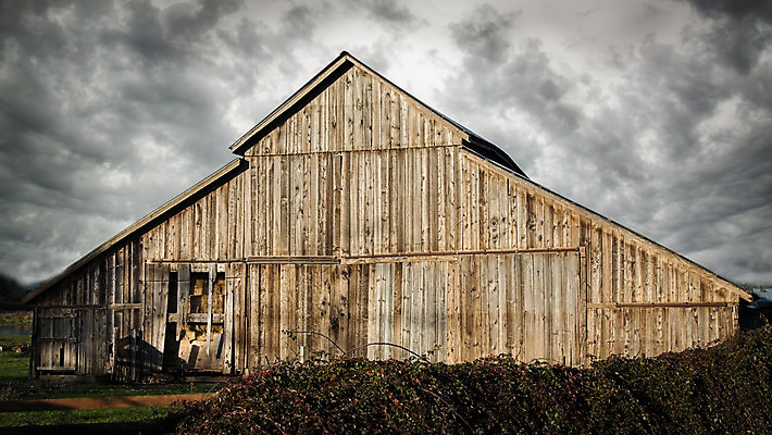 포토 JPG 해외이미지 외관 벽 백그라운드 밭 농업 건축양식 자연 하늘 주택 풍경 사람없음 야외 내부 건물 목재 여름 빛 농가 농장 문 목장 방 수확 골동품 시골 땅 버리기 복고 캘리포니아 헛간 외양간 그런지 깨짐 밭일 썩음 옛날 판잣집 해외202004 해외포토 나무 건축물 계절 건축 산업 컨셉 재료 모션 미국 생태계 저장고 파일형식 이미지허브