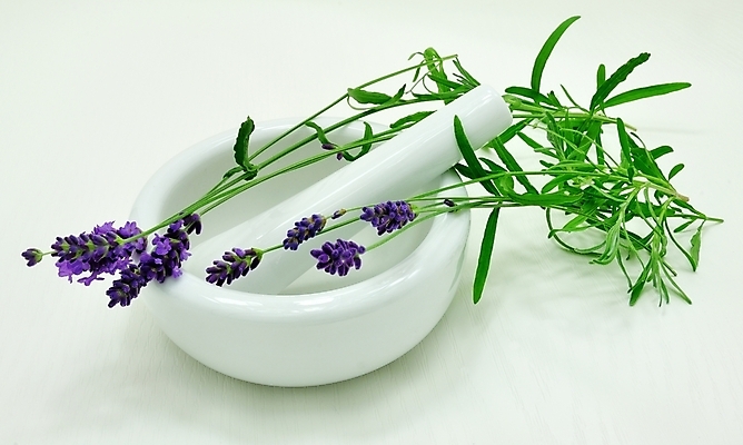 포토 JPG 해외이미지 식물 꽃 백그라운드 잎 꽃무늬 자연 건강 손잡이 요리 사람없음 초록색 약 보라색 스파 흰색 기구 공구 도자기 사발 약초 허브 준비 유기농 향기 그라인더 처방 갈기 아로마테라피 라벤더 조제 내추럴 고립 막자 백자 섞기 해외202004 해외포토 웰빙 컬러 무늬 의학 도구 풀_식물 사기그릇 생태계 냄새 만들기 테라피 커피용품 파일형식 이미지허브