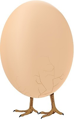 EPS 해외이미지 클립아트 모양 1 오렌지 일러스트 발 조류 그래픽 걷기 계란 치킨 껍질 흰색 아기 유머 신비 만화 부화 물갈퀴 고립 해외202004 해외일러스트 동물 감정 컬러 컨셉 과일 모션 사람 신체부위 알 닭고기요리 파일형식 벡터 이미지허브