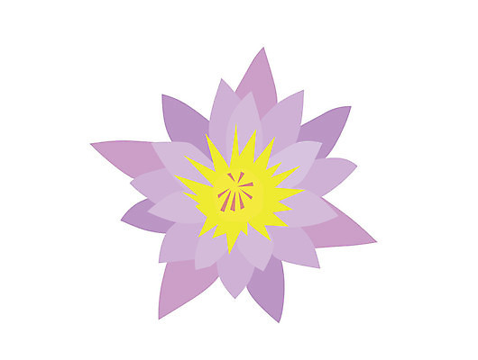 EPS 해외이미지 식물 꽃잎 꽃 일러스트 자연 연꽃 컬러풀 보라색 벚꽃 신선 화단 열대기후 해외202004 해외일러스트 컬러 생태계 파일형식 벡터 이미지허브