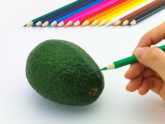 포토 JPG 해외이미지 식물 음식 백그라운드 채소 오렌지 과일 재료 자연 건강 미술 사람없음 초록색 파란색 컬러풀 펜 노란색 흰색 신선 달콤 스케치 오브젝트 그림 유기농 크레파스 아보카도 내추럴 숙성 채식주의자 해외202004 해외포토 웰빙 컬러 문화예술 학용품 필기구 맛 생태계 채식 파일형식 이미지허브