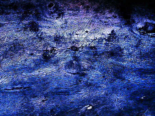 포토 JPG 해외이미지 나무 식물 디자인 벽 백그라운드 패턴 자연 벽지 표면 추상 바닥 프레임 미술 사람없음 목재 빨간색 파란색 갈색 어둠 줄무늬 수확 소나무 판넬 거친 널 낟알 묘사 질감 복고 잡동사니 정맥 내추럴 그런지 옛날 해외202004 해외포토 컬러 무늬 농업 재료 문화예술 생태계 혈관 파일형식 이미지허브