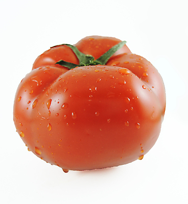 포토 JPG 해외이미지 식물 1 음식 백그라운드 잎 농업 토마토 채소 사람없음 빨간색 초록색 물 흰색 물방울 신선 오브젝트 싱글 내추럴 고립 숙성 해외202004 해외포토 자연요소 산업 컬러 파일형식 이미지허브