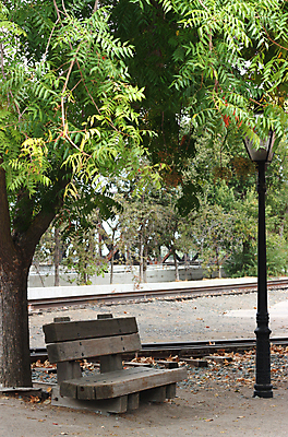 포토 JPG 해외이미지 나무 계절 공원 길 가구 잎 벤치 의자 자연 휴식 잔디 사람없음 야외 목재 초록색 여름 빛 평화 마을 봄 기차 수확 가을 램프 신선 도시 역 고독 오브젝트 싱글 장면 타운 단상 내추럴 옛날 혼자 해외202004 해외포토 식물 공공시설 감정 육상교통 컬러 생활용품 컨셉 농업 재료 교통시설 조명 대중교통 생태계 파일형식 이미지허브
