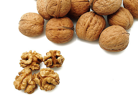 포토 JPG 해외이미지 음식 백그라운드 다이어트 과일 재료 자연 건조 건강 사람없음 갈색 손상 견과류 껍질 가을 흰색 신선 오픈 그룹 맛 아침식사 오브젝트 싱글 알맹이 심플 호두 내추럴 고립 채식주의자 해외202004 해외포토 계절 컬러 컨셉 식사 생태계 채식 파일형식 이미지허브