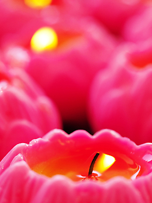 포토 JPG 해외이미지 종교 선 분홍색 불교 오렌지 촛불 불 불꽃 휴식 사람없음 빛 노란색 스파 중국 희망 기도 축하 사찰 뜨거움 문학 말레이시아 연소 숭배 심지 왁스 해외202004 해외포토 자연요소 감정 아시아 컬러 컨셉 과일 초 종교건축 파일형식 이미지허브