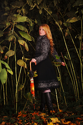 포토 JPG 해외이미지 백인 계절 길 단풍 잎 우산 자연 지팡이 요정 그림자 한명 야외 빨간색 초록색 금발 검은색 어둠 회색 코트 가을 파마 막대기 티켓 터널 떨어짐 야간 저녁 숲 큼 오솔길 무서움 호기심 잠금 심각 전설 해외202004 해외포토 자연요소 서양인 식물 1 헤어스타일 감정 컬러 컨셉 사람 외투 크기 생태계 보안 파일형식 이미지허브