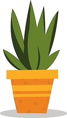 EPS 해외이미지 나무 식물 디자인 꽃 화초 백그라운드 잎 꽃무늬 일러스트 자연 선인장 주택 건강 내부 그래픽 장식 초록색 약 정원 성장 흰색 신선 플랫 냄비 만화 허브 원예 내추럴 고립 심기 알로에 해외202004 해외일러스트 컬러 무늬 의학 모션 취미 건물 솥 생태계 파일형식 벡터 이미지허브