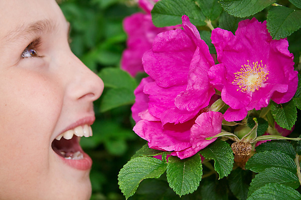 포토 JPG 해외이미지 나무 1 라이프스타일 응시 옷 남자 꽃 행복 어린이 자연 휴가 휴식 건강 한명 웃음 사람 소년 야외 초록색 장미 머리 침묵 기쁨 치아 피부 장면 해외202004 해외포토 식물 시선 감정 컬러 컨셉 표정 생활 신체부위 소리 소화기관 생태계 파일형식 이미지허브