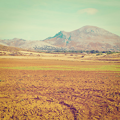 포토 JPG 해외이미지 나무 식물 구름 유럽 밭 농업 자연 하늘 산 풍경 사람없음 야외 초록색 파란색 농작물 농장 농경지 환경 골짜기 수확 가을 시골 스페인 볏짚 숲 위험 지중해 만취 언덕 복고 정사각형 생태학 소셜네트워크 스페인어 절정 필터 목가 해외202004 해외포토 자연요소 도형 계절 교육 나라 산업 바다 컬러 컨셉 짚 생태계 술취함 파일형식 이미지허브