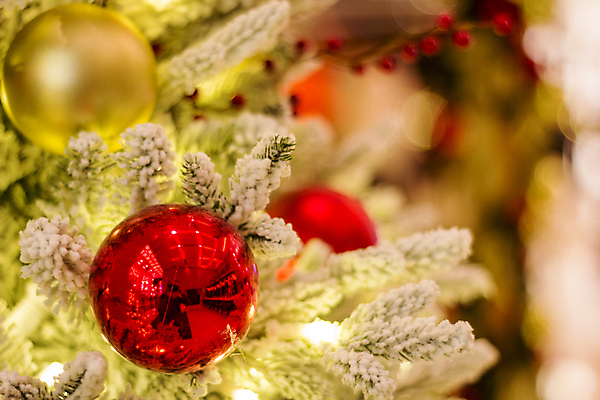 포토 JPG 해외이미지 전통 계절 백그라운드 크리스마스 겨울 포장 공 눈사람 유리 추상 휴가 3 선물 사람없음 목재 장식 가로 빨간색 초록색 파란색 빛 상자 우주 축제 장식볼 수확 흰색 나뭇가지 시골 눈송이 황금 보케 상록수 2016년 노엘 여의주 필터 해외202004 해외포토 나무 기념일 컬러 무늬 농업 재료 재질 눈_날씨 연도 파일형식 이미지허브