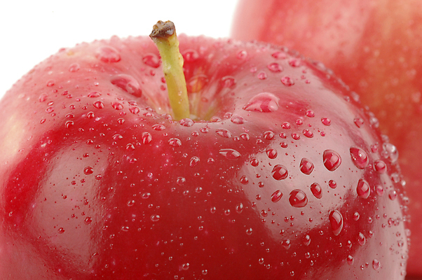 포토 JPG 해외이미지 음식 줄기 다이어트 과일 사람없음 빨간색 빛 젖음 신선 맛 사과 이슬 내추럴 숙성 해외202004 해외포토 식물 컬러 컨셉 건강 파일형식 이미지허브
