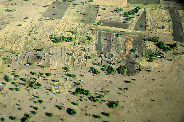 포토 JPG 해외이미지 건축물 바다 섬 여행 교통시설 아프리카 자연 안테나 풍경 사람없음 건물 관광지 하이앵글 농장 도시 숲 암초 타운 스카이라인 랜드마크 열대기후 조감도 탄자니아 해외202004 해외포토 건축 나라 뷰포인트 교통 농업 통신 시설 생태계 파일형식 이미지허브