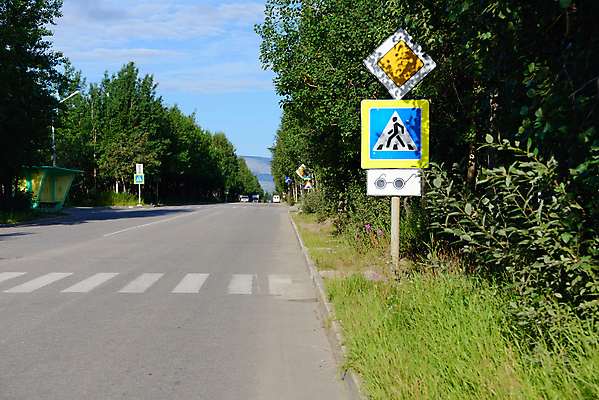 포토 JPG 해외이미지 나무 안경 도로 길 선 잎 무늬 하늘 거리 경고 사람없음 야외 초록색 줄무늬 도시 고속도로 교차로 사인 얼룩말 해외202004 해외포토 식물 잡화 컬러 교통시설 말_동물 파일형식 이미지허브