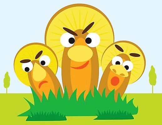 EPS 해외이미지 식물 오렌지 일러스트 자연 추상 장식 컬러풀 갈색 노란색 머리 버섯 유머 만화 걱정 그림 공상 경보 캐리커처 캡모자 해외202004 해외일러스트 모자_잡화 감정 컬러 무늬 과일 신체부위 생태계 파일형식 벡터 이미지허브