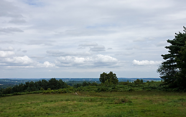 포토 JPG 해외이미지 나무 구름 계절 길 야생동물 잎 자국 자연 조류 하늘 사람없음 목재 초록색 여름 햇빛 갈색 평화 걷기 화목 침묵 산책 탐험 시골 숲 뿌리 내추럴 삼림지대 선로 양치류 수평선 해외202004 해외포토 자연요소 식물 동물 컬러 컨셉 재료 모션 휴식 태양 소리 생태계 파일형식 이미지허브