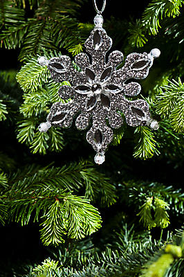 포토 JPG 해외이미지 별 크리스마스장식 크리스마스 휴가 매달리기 사람없음 장식 초록색 컬러풀 크리스마스트리 파티 나뭇가지 소나무 눈송이 은색 심볼 상록수 노엘 해외202004 해외포토 자연요소 나무 기념일 컬러 모션 눈_날씨 이벤트 파일형식 이미지허브