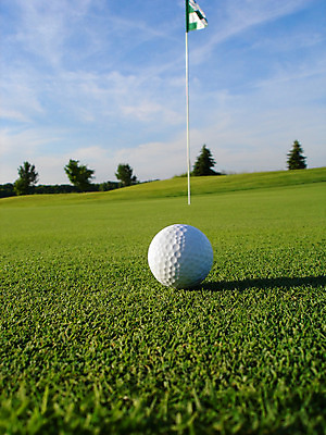 포토 JPG 해외이미지 직업 스포츠 백그라운드 밭 골프 공 자연 놀이 휴가 풍경 잔디 사람없음 야외 초록색 여름 운동 경쟁 장비 게임 흰색 운전사 닫기 강의 묘사 오브젝트 클럽 휴양지 슛 내추럴 골프티 강렬 퍼터 해외202004 해외포토 식물 계절 컬러 컨셉 농업 모션 골프용품 건강 구기 장소 생태계 파일형식 이미지허브