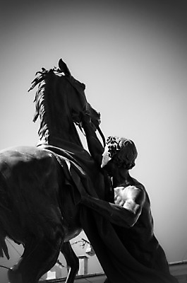 포토 JPG 해외이미지 조각 부분 사람없음 파편 해외202004 해외포토 파일형식 이미지허브