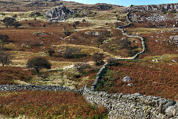 포토 JPG 해외이미지 나무 공원 유럽 벽 자연 영국 웨일즈 산 풍경 사람없음 야외 가로 초록색 파란색 갈색 노란색 평화 계곡 침묵 바위 시골 황무지 정상 언덕 북쪽 내추럴 구성 전국 절정 스노도니아 스노든산 해외202004 해외포토 식물 공공시설 나라 컬러 컨셉 소리 돌_바위 방향 생태계 파일형식 이미지허브
