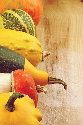 포토 JPG 해외이미지 음식 채소 오렌지 호박 프레임 사람없음 목재 노란색 신선 유기농 날것 박 스쿼시 건강식 숙성 해외202004 해외포토 나무 웰빙 스포츠 컬러 과일 재료 구기 파일형식 이미지허브