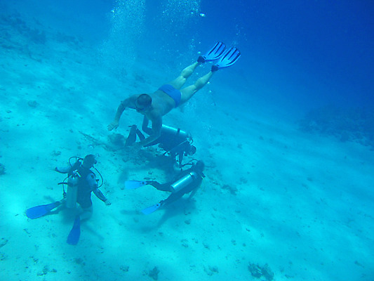 포토 JPG 해외이미지 바다 자연 휴가 휴식 바닥 이집트 어류 사람없음 물 여름 수중 수영 스노클링 산호 잠수부 다이빙 암초 깊이 이국적 해외202004 해외포토 자연요소 계절 컨셉 아프리카 수중동물 수상스포츠 자포동물 전문직 생태계 수중스포츠 파일형식 이미지허브