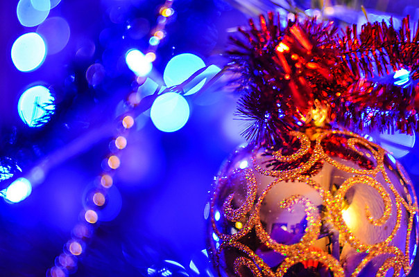 포토 JPG 해외이미지 나무 전통 디자인 계절 별 백그라운드 크리스마스 겨울 텍스트 공 유리 휴가 새로움 기념 사람없음 장식 빨간색 초록색 빛 크리스마스트리 노란색 축제 화환 침묵 장식볼 흰색 나뭇가지 축하 소나무 신용카드 황금 야간 12월 연도 전나무 엘리먼트 여의주 해외202004 해외포토 자연요소 식물 기념일 꽃 컬러 컨셉 재질 금융 소리 날짜 파일형식 이미지허브