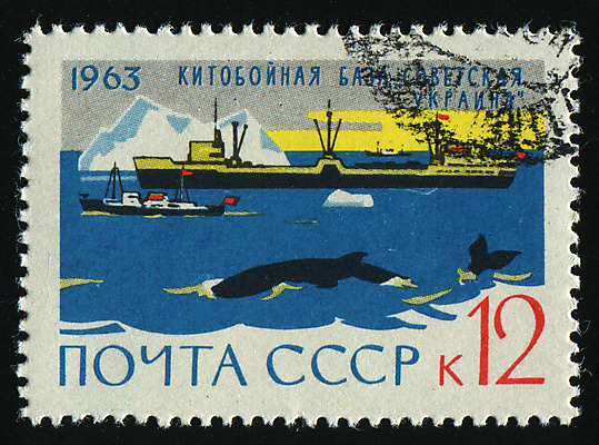 포토 JPG 해외이미지 바다 포유류 봉투 사람없음 물 파란색 달리기 점프 얼음 폭포 수확 신용카드 어선 보트 메시지 편지 복고 함선 러시아 나무껍질 빙산 주소 우표 러시아인 소비에트 옛날 우체국 해외202004 해외포토 자연요소 서양인 나무 동물 유럽 컬러 농업 배_교통 모션 자연 금융 껍질 기관 파일형식 이미지허브