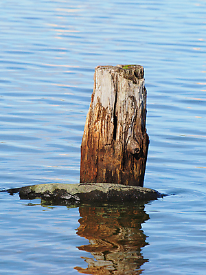 포토 JPG 해외이미지 호수 선 여행 교통시설 자연 하늘 휴식 파노라마 풍경 사람없음 목재 물 여름 파란색 반사 평화 항구 맑음 가을 언덕 포트 헝가리 옛날 해외202004 해외포토 자연요소 나무 계절 컬러 교통 컨셉 재료 날씨 촬영기법 시설 생태계 동유럽 파일형식 이미지허브