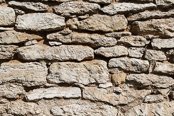 포토 JPG 해외이미지 디자인 백그라운드 컨셉 패턴 모션 자연 벽지 추상 미술 잔디 사람없음 야외 목재 장식 빛 쇼핑 태양 우주 환경 공백 활발 점 거친 보호 질감 소매 내추럴 넣기 현상 효과 해외202004 해외포토 자연요소 나무 식물 무늬 재료 문화예술 생태계 파일형식 이미지허브