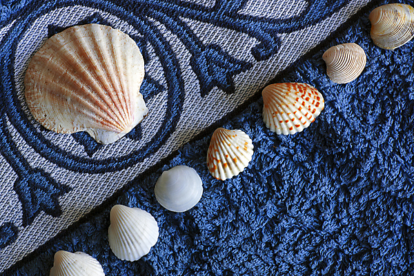 포토 JPG 해외이미지 모양 야생동물 바다 여행 백그라운드 자연 조개 연체동물 주택 창조 사람없음 장식 물 수건 컬러풀 껍질 닫기 해산물 오브젝트 싱글 기념품 해외202004 해외포토 자연요소 동물 컬러 모션 어패류 무척추동물 건물 위생용품 생태계 파일형식 이미지허브