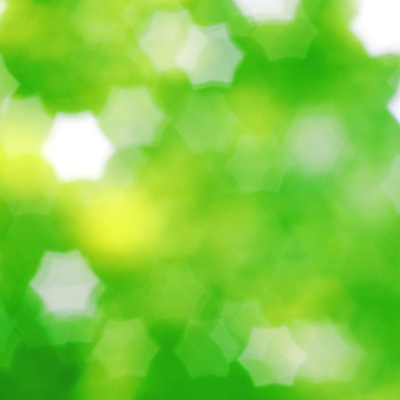 포토 JPG 해외이미지 식물 계절 백그라운드 크리스마스 패턴 공 자연 벽지 추상 휴가 조명 기념 미술 사람없음 장식 파란색 빛 컬러풀 파티 정원 축제 축하 신선 반지 점 원형 연도 보케 네온 블러 특별함 파스텔톤 해외202004 해외포토 도형 기념일 컬러 컨셉 무늬 장신구 문화예술 이벤트 생태계 파일형식 이미지허브