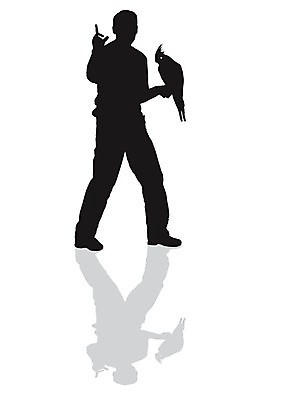 EPS 해외이미지 동물 일러스트 사람 그래픽 반려동물 걷기 검은색 흰색 그림 앵무새 고립 해외202004 해외일러스트 컬러 모션 조류 파일형식 벡터 이미지허브