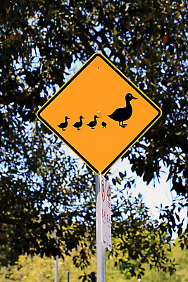 포토 JPG 해외이미지 도로 선 엄마 거리 오리 경고 사람없음 반사 노란색 금속 운전 호주 위험 주차 심볼 사인 다이아몬드 봉 규칙 조심 건너기 줄서기 해외202004 해외포토 길 컬러 컨셉 가족 교통시설 모션 재질 조류 오세아니아 보석 파일형식 이미지허브