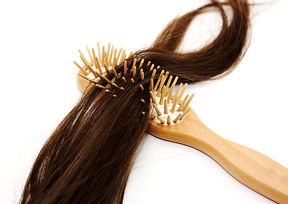 포토 JPG 해외이미지 사람없음 뷰티 머리카락 머리빗 흰배경 헤어관리 두피케어 탈모 탈모클리닉 해외202004 탈모예방 해외포토 백그라운드 머리 흰색 미용용품 예방 클리닉 증상 파일형식 이미지허브