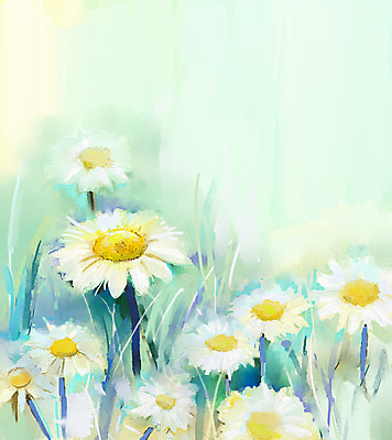 JPG 해외이미지 꽃 일러스트 사람없음 그림 데이지 손그림 유화 해외202004 해외일러스트 식물 미술 파일형식 이미지허브