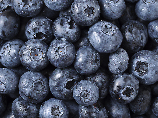 포토 JPG 해외이미지 식물 열매 음식 농업 과일 자연 탁자 디저트 건강 사람없음 목재 초록색 여름 파란색 수확 시골 신선 그룹 사발 달콤 유기농 블루베리 날것 베리 흙더미 내추럴 숙성 옛날 채식주의자 해외202004 해외포토 나무 웰빙 계절 산업 컬러 가구 재료 흙 사기그릇 맛 생태계 채식 파일형식 더미 이미지허브