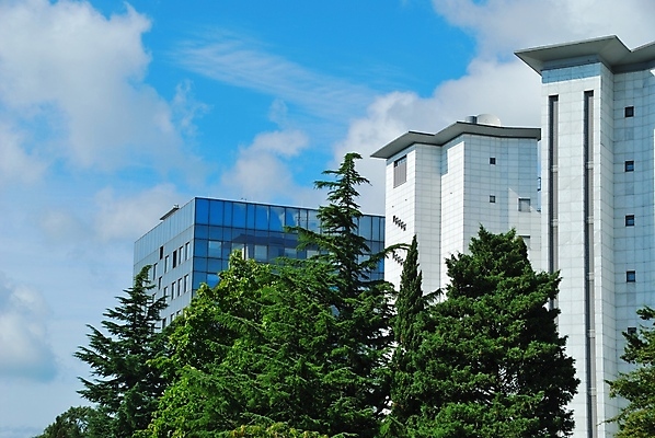 포토 JPG 해외이미지 나무 구름 외관 건축양식 창문 유리 하늘 사람없음 야외 건물 장식 사무실 침엽수 가문비나무 해외202004 해외포토 자연요소 식물 건축물 건축 비즈니스 재질 파일형식 이미지허브