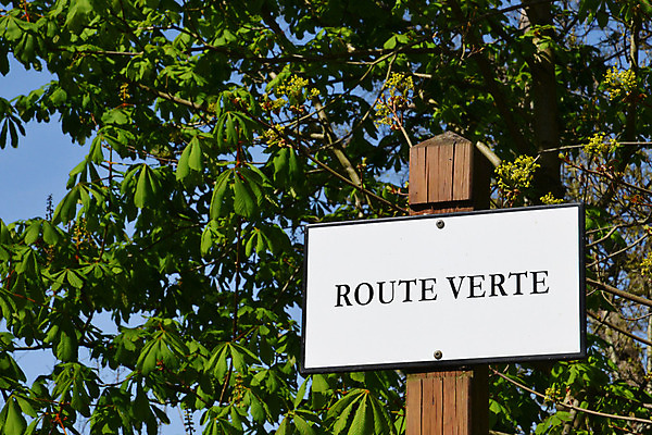 포토 JPG 해외이미지 나무 유럽 자연 사람없음 야외 초록색 프랑스 시골 숲 사인 해외202004 해외포토 식물 나라 컬러 생태계 파일형식 이미지허브