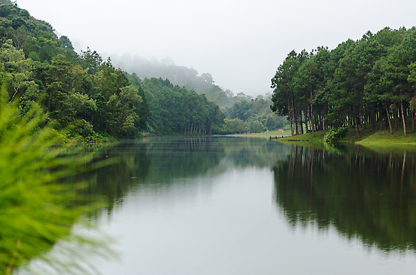 포토 JPG 해외이미지 나무 구름 공원 호수 여행 겨울 태국 자연 표면 아침 풍경 사람없음 야외 초록색 물 강 반사 평화 침묵 새벽 안개 신선 소나무 숲 순수 장면 석호 내추럴 전국 해외202004 해외포토 주간 자연요소 식물 계절 공공시설 아시아 컬러 컨셉 날씨 소리 생태계 파일형식 이미지허브