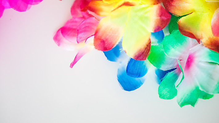 포토 JPG 해외이미지 식물 꽃잎 꽃 분홍색 꽃다발 꽃무늬 자연 휴가 사람없음 장식 빨간색 초록색 노란색 정원 보라색 봄 튤립 벚꽃 신선 난초 하와이인 해외202004 해외포토 외국인 계절 컬러 무늬 생태계 파일형식 이미지허브