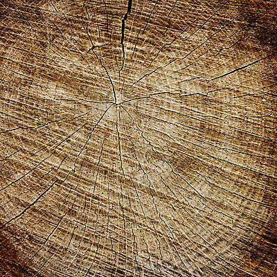 포토 JPG 해외이미지 나무 식물 디자인 외관 산업 백그라운드 패턴 자연 벽지 탁자 표면 추상 바닥 건조 사람없음 목재 장식 갈색 어둠 수확 판넬 거친 널 타일 책상 질감 복고 호두 목공예 내추럴 구식 그런지 수목 옛날 합판 파케트 해외202004 해외포토 컬러 가구 무늬 농업 재료 견과류 공예 생태계 파일형식 이미지허브