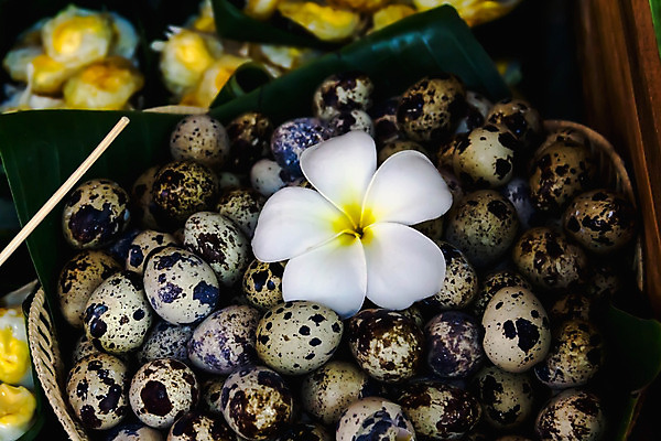 포토 JPG 해외이미지 식물 디자인 꽃잎 꽃 음식 백그라운드 잎 꽃무늬 자연 건강 사람없음 장식 초록색 컬러풀 노란색 바구니 정원 계란 식사 봄 튀김 벚꽃 흰색 신선 시장 달콤 대나무 내추럴 메추리 해외202004 해외포토 나무 계절 컬러 무늬 알 맛 생태계 파일형식 이미지허브