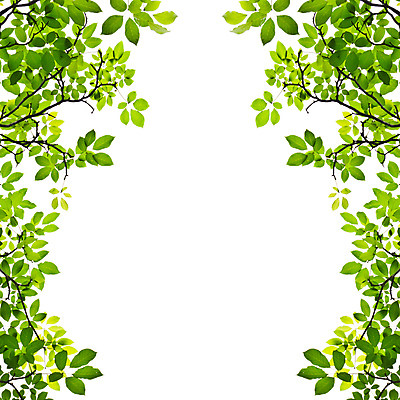 포토 JPG 해외이미지 나무 식물 공원 곤충 백그라운드 잎 자연 프레임 그림자 사람없음 야외 초록색 여름 태양 우주 정원 맑음 침묵 봄 성장 흰색 나뭇가지 신선 투명 숲 묘사 유기농 질감 내추럴 고립 디테일 해외202004 해외포토 자연요소 동물 웰빙 계절 공공시설 컬러 날씨 소리 생태계 파일형식 이미지허브