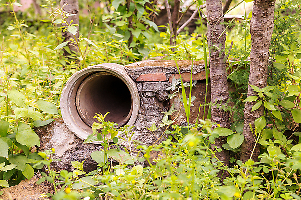 포토 JPG 해외이미지 나무 식물 계절 백그라운드 자연 하늘 풍경 사람없음 야외 목재 초록색 물 여름 파란색 빛 태양 환경 정원 봄 나뭇가지 차 떨어짐 숲 지중해 지역 내추럴 해외202004 해외포토 자연요소 음료 바다 컬러 컨셉 재료 생태계 파일형식 이미지허브