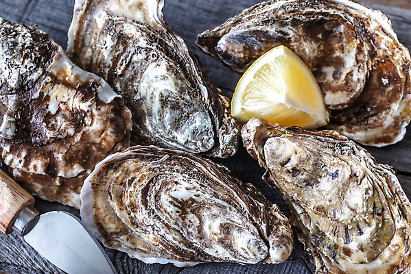 포토 JPG 해외이미지 음식 바다 백그라운드 다이어트 조개 연체동물 어류 요리 사람없음 목재 식사 저녁식사 껍질 굴 시골 신선 보트 그룹 시장 칼 정상 다발 지중해 레몬 삼베 해산물 날것 홍합 태평양 5 모음 흙더미 점심식사 구식 단백질 생식 식품점 해외202004 해외포토 나무 배_교통 과일 재료 어패류 무척추동물 건강 숫자 상점 수중동물 흙 영양소 파일형식 천_직물 더미 이미지허브