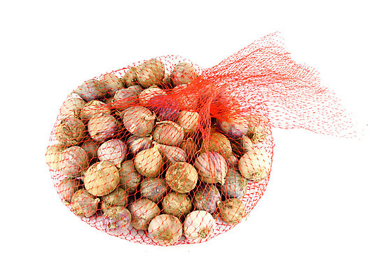 포토 JPG 해외이미지 식물 라이프스타일 계절 음식 백그라운드 농업 다이어트 채소 재료 전구 자연 건강 마늘 3 요리 사람 사람없음 초록색 빛 주방 저녁식사 흰색 신선 그물 그룹 시장 맛 상품 다발 먹기 향신료 묘사 유기농 날것 팩 내추럴 고립 생식 채식주의자 스타일 해외202004 해외포토 웰빙 산업 컬러 컨셉 모션 생활 식사 화장품 생태계 채식 향미료 파일형식 이미지허브