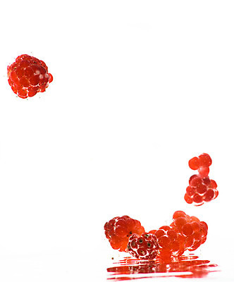 포토 JPG 해외이미지 음료 음식 파도 조각 백그라운드 오렌지 과일 자연 표면 추상 건강 요리 사람없음 물 노란색 식사 주스 거품 젖음 추위 소용돌이 가을 흰색 신선 칵테일 액체 닫기 떨어짐 시원함 유기농 질감 산딸기 고립 순간 해외202004 해외포토 자연요소 웰빙 계절 바다 컬러 컨셉 무늬 모션 주류 회오리 생태계 파일형식 이미지허브